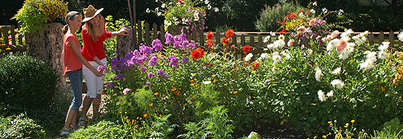 Blhender Bauerngarten in der Mhlgasse in Velden 