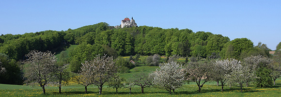 Burg Hohenstein in der Frankenalb