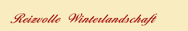 Reizvolle Winterlandschaft